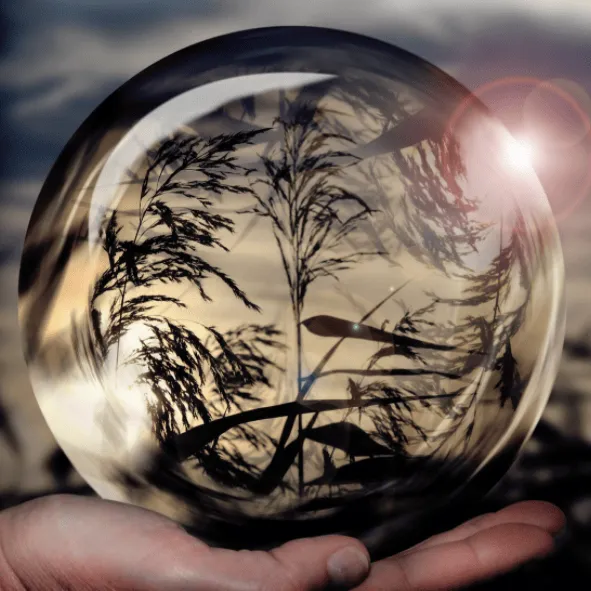 Sphère de verre reflétant un arbre — symbole de la bulle d'hypnose
